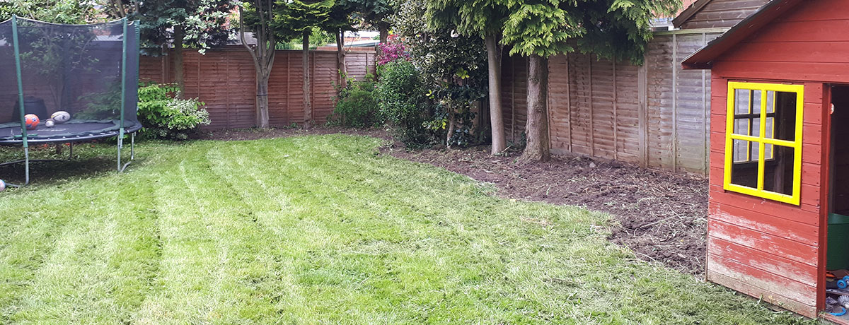 Garden Tidy and Clearance